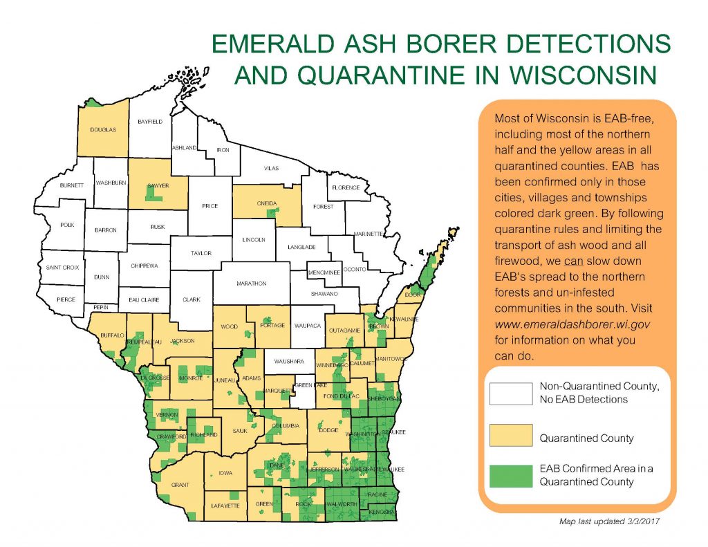 EAB quarantine map. Counties shaded in tan are quarantined for EAB, and includes much of the southern half of Wisconsin, as well as other counties. Areas shaded in green are the townships and municipalities where EAB has actually been identified, and shows that not all counties that are quarantined are fully infested.