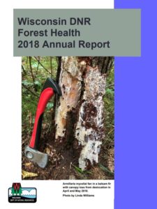 Screenshot of annual report front cover. 